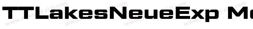 TTLakesNeueExp Medium字体转换